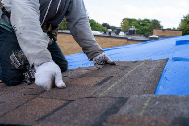 Emergency Roof Repair in Fairview, UT